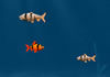 Game Cá lớn nuốt cá bé 4