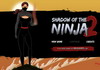 Game Ninja phiêu lưu 18
