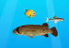 Game Cá lớn nuốt cá bé 32
