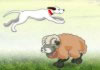 Game Bay qua đàn cừu
