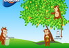 Game Bầy khỉ ăn trộm cam