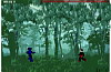 Game Ninja phiêu lưu 2